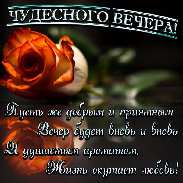 Поздравление с добрым вечером