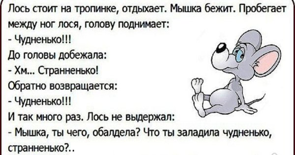 Анекдот про мышку