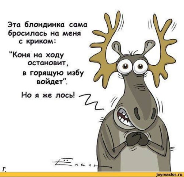 Афоризмы про оленей