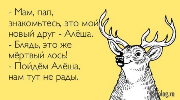 Мертвый Лось Алеша