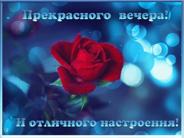 Прекрасного вечера