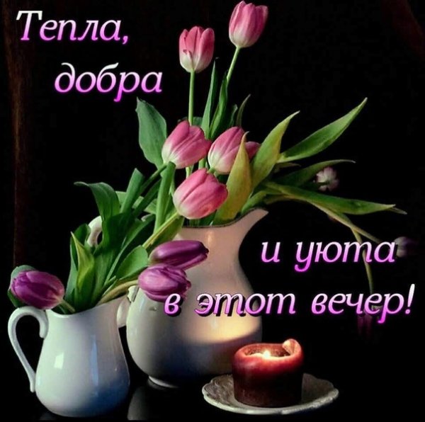 Добрый вечер милая