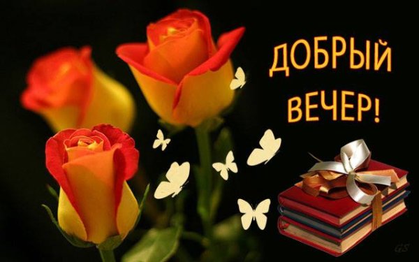 Добрый вечер Тамара