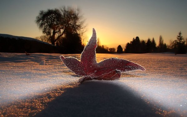 Зимний вечер красивые необычные картинки (49 фото)
