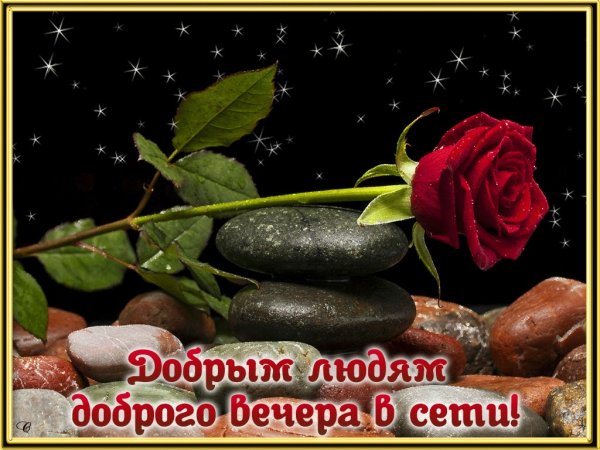 Добрый вечер друзья