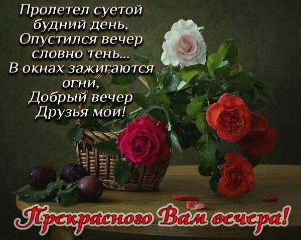 Стики сдобрым вечером.