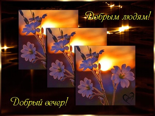 Добрый вечер хорошему человеку