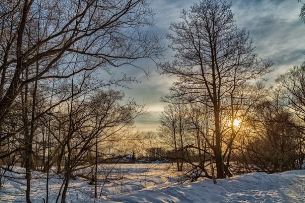 Доброго весеннего вечера