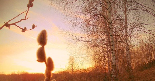 Ранняя Весна вечер