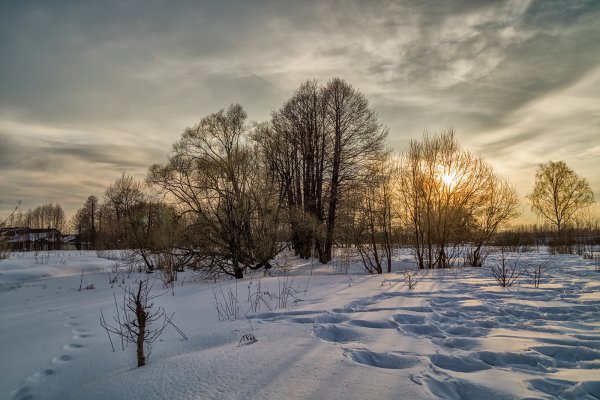 Апрельская ночь