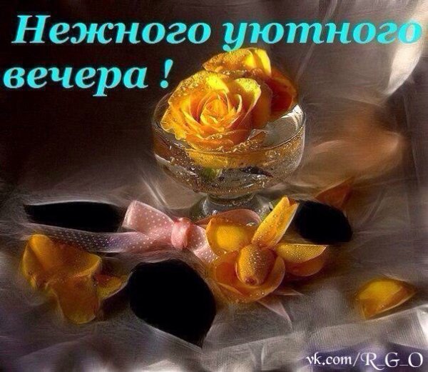 Добрый вечер Леночка
