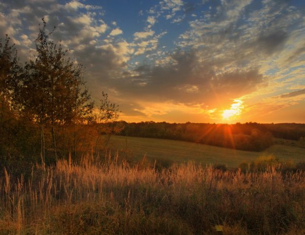 Федор Тютчев летний вечер