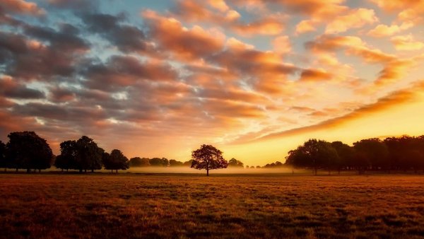 Александр Александрович блок стихотворение летний вечер