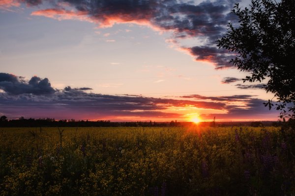 Летний вечер блок природа фото картины