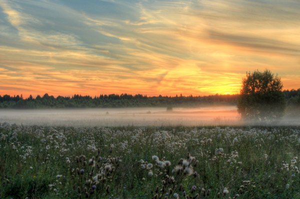 Пейзаж летний вечер