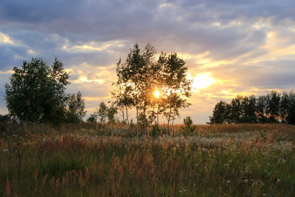Летний вечер Автор