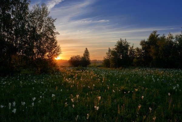 Перспектива летний вечер