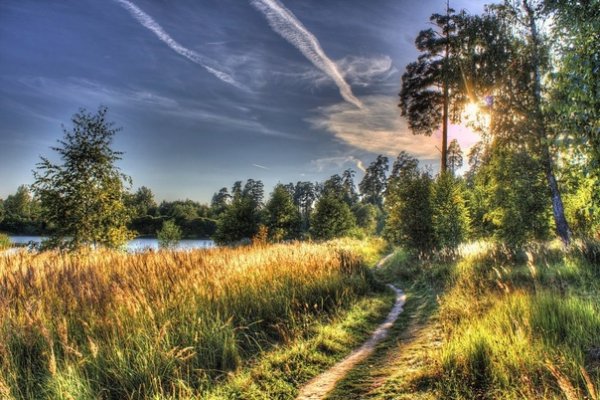 Пейзаж к стихотворению летний вечер