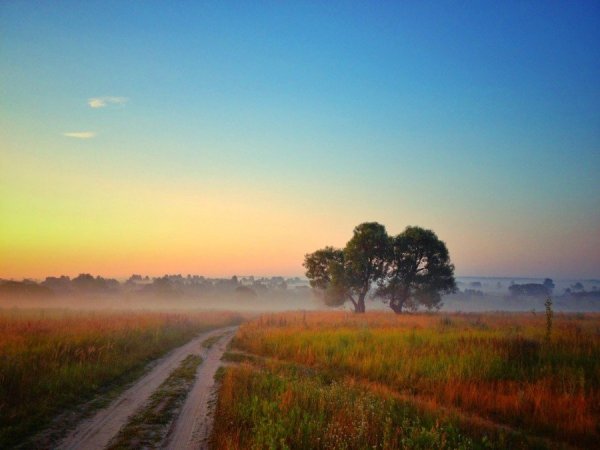 Дремотой розовой объята трава некошеной межи