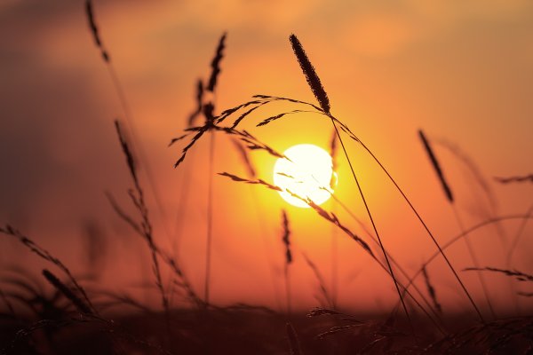 Последние лучи заката