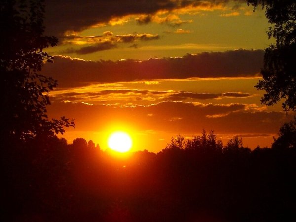 Летний вечер блок