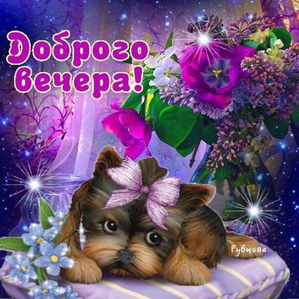 Добрый вечер