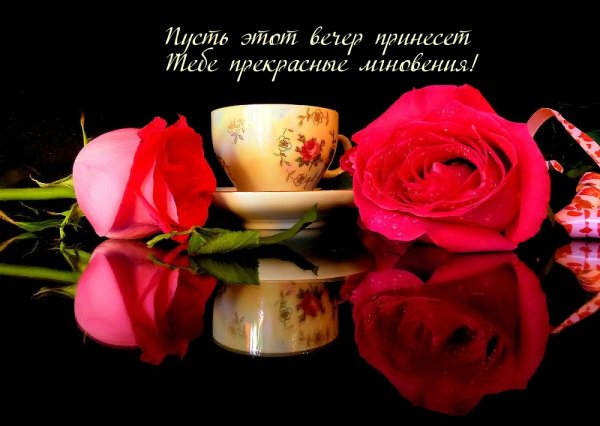 Добрый вечер Господа