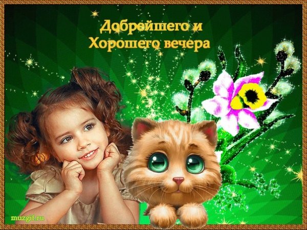 Приятного вечера и отличного настроения