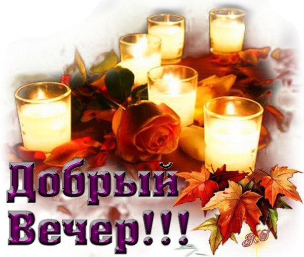 Добрый вечер коллеги