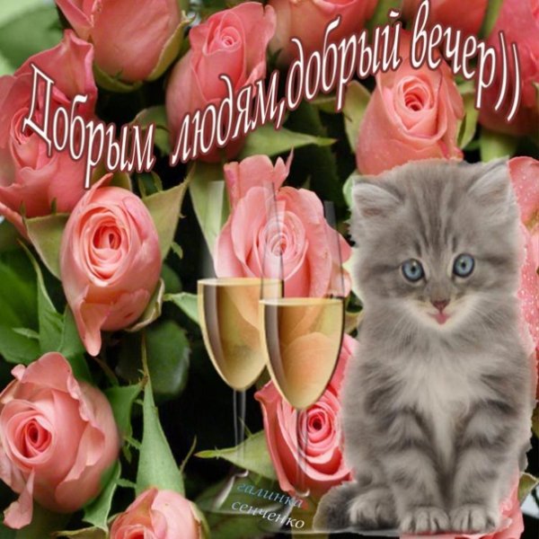 Добрый вечер сестричка