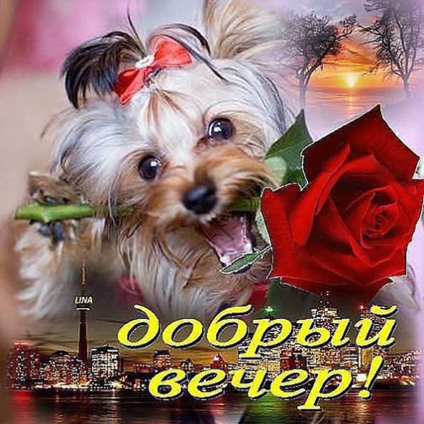 Добрый вечер
