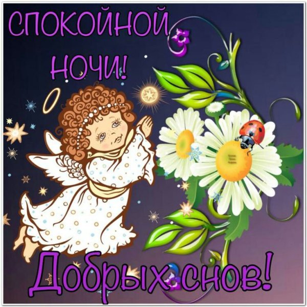 Открытка спокойнойночки