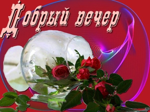 Добрый вечер Стикеры красивые
