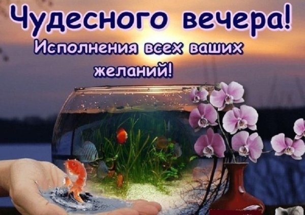 Чудесного вечера