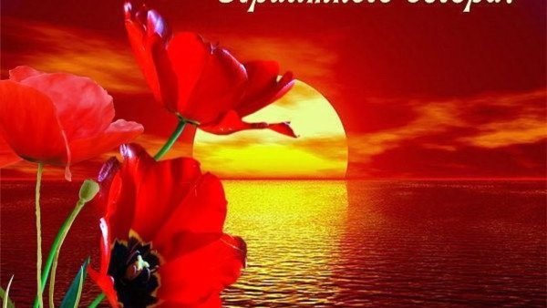 Добрый вечер солнышко