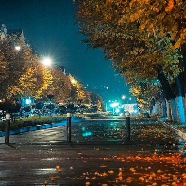 Осенний вечер в городе