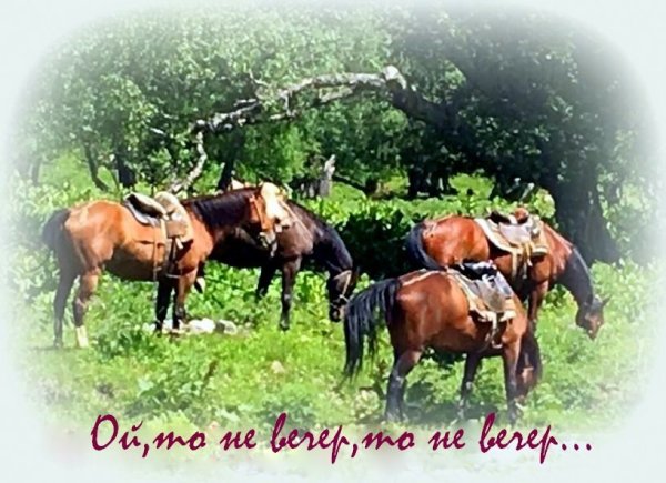 Ой то не вечер то не