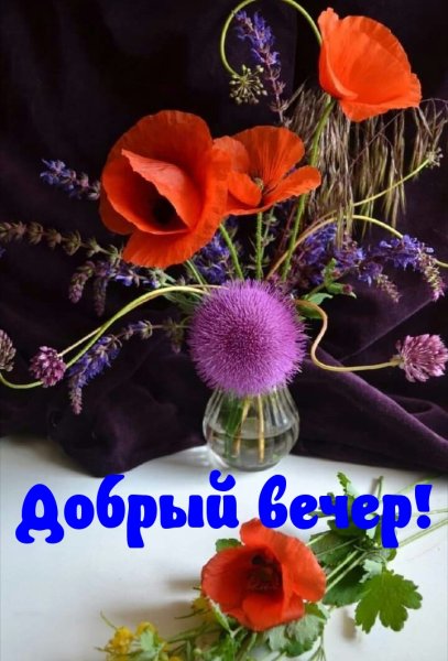 Добрый вечер картинки с надписями