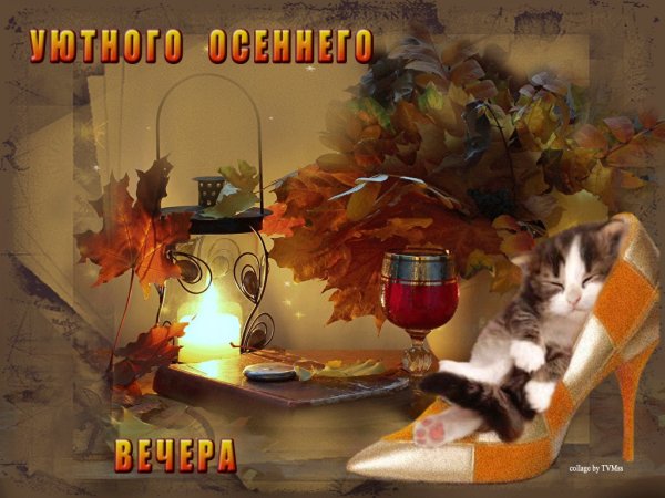 Доброго осеннего вечера