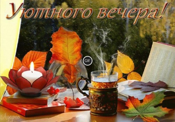 Приятной осенней ночи