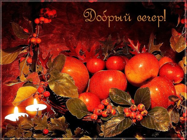 Осенний чай с рябиной