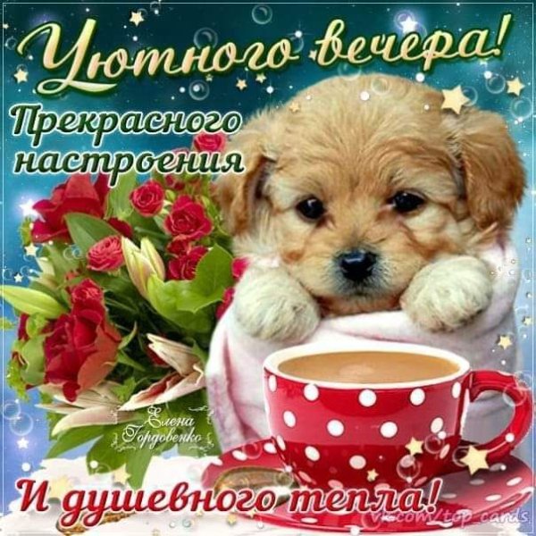 Хорошего вечера и настроения