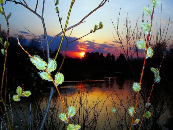 Добрый вечер красивые весенние картинки природы (46 фото)