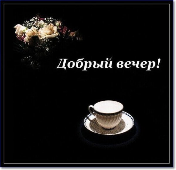 Добрый вечер картинки прикольные