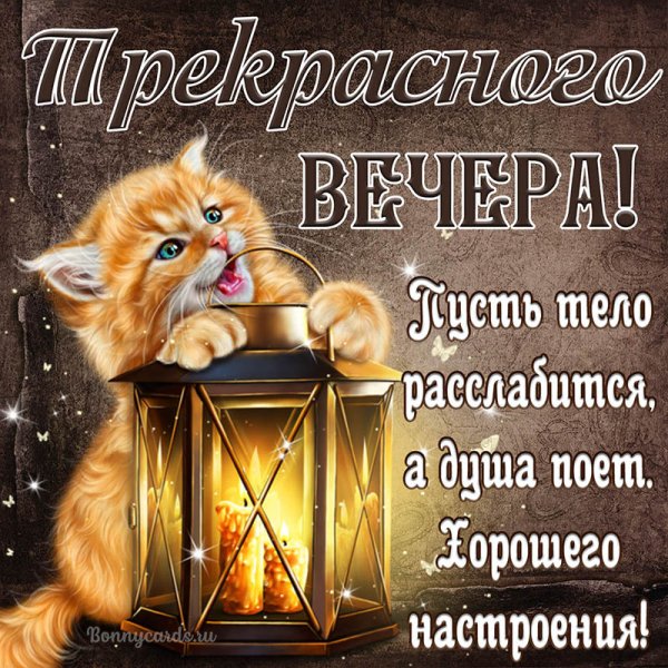 Приятного вам вечера