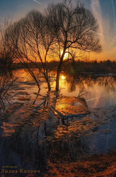 Ранняя Весна солнце