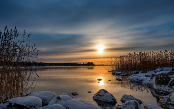 Ранняя Весна солнце
