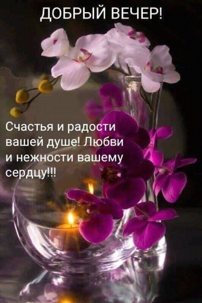 Добрый вечер цветы необычные