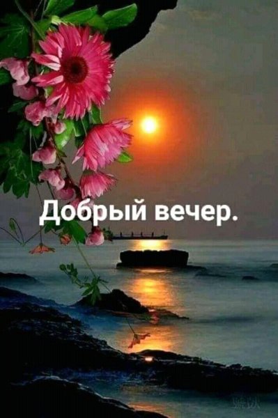 Вечер цветы спокойствие