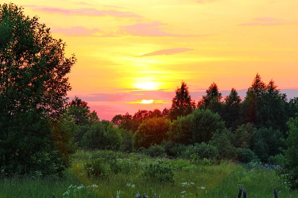Лето вечер природа